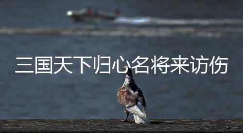 名将归心攻略天下推荐阵容来访三国伤害