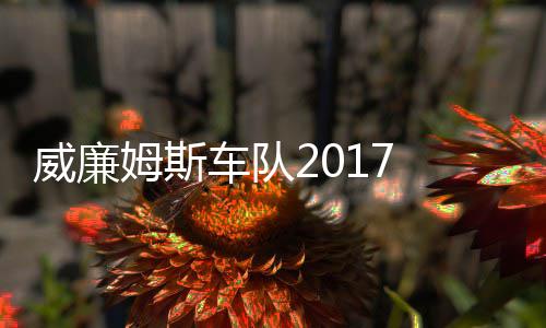 姆斯 马姆车役再复出加入威廉威廉车队队萨退