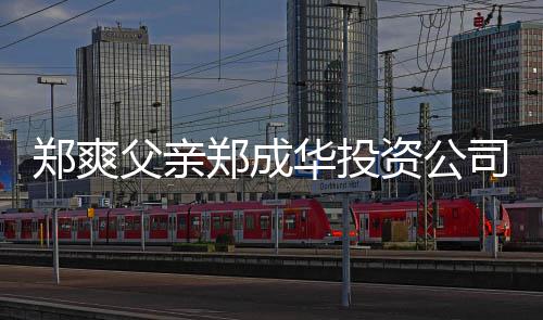 人回华投欠税 关应父亲风波郑爽郑成资公联法司陷