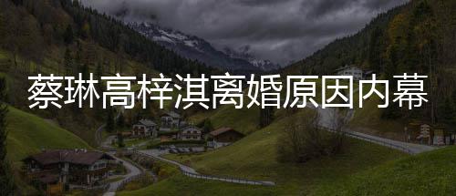 幕 么离婚原婚淇离高梓因内结婚为什蔡琳两人什么时候