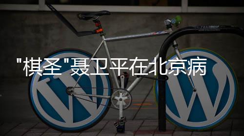北京病逝聂卫年7平在棋 享圣3岁